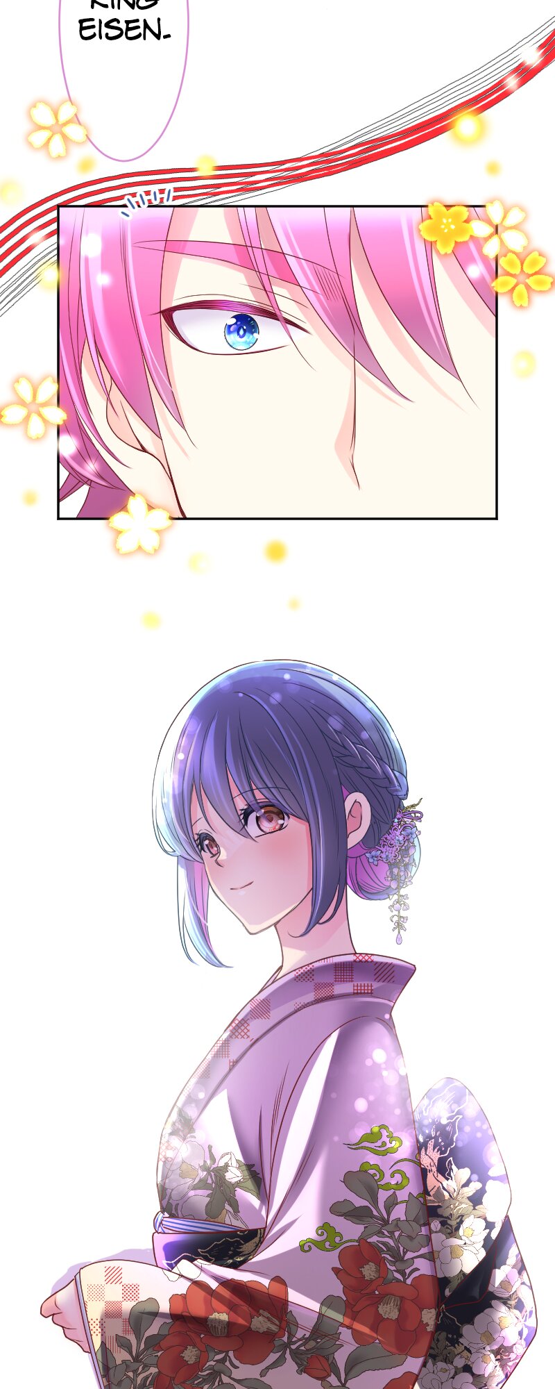 66117300 800 2000 232480